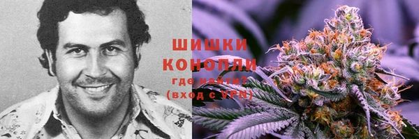 первитин Белокуриха